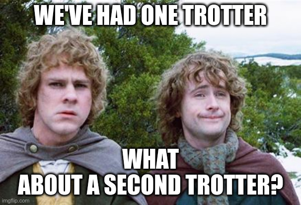 Second Breakfast | WE'VE HAD ONE TROTTER; WHAT
ABOUT A SECOND TROTTER? | image tagged in second breakfast | made w/ Imgflip meme maker