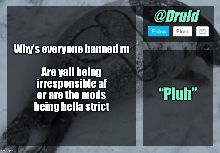 New announcement temp | Why’s everyone banned rn
 
Are yall being irresponsible af or are the mods being hella strict; “Pluh” | image tagged in new announcement temp | made w/ Imgflip meme maker