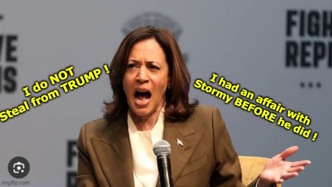 First Tips, and now Nips | I had an affair with Stormy BEFORE he did ! I do NOT Steal from TRUMP ! | image tagged in kamala stormy steal meme | made w/ Imgflip meme maker