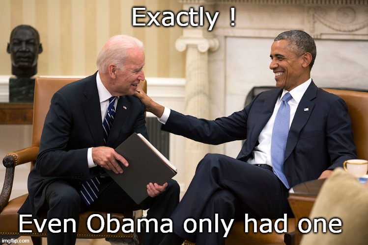 Exactly ! Even Obama only had one | made w/ Imgflip meme maker