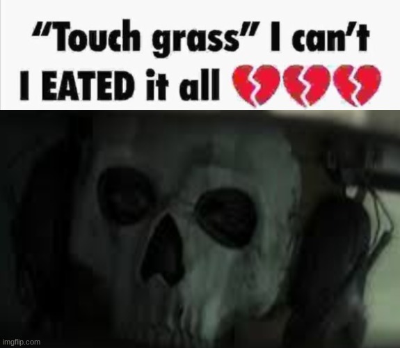 "toucheth green spiky substance" I cannot, I have consumed it all. | image tagged in alejandro cod touch grass | made w/ Imgflip meme maker