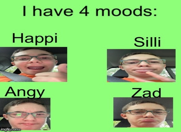 I Have 4 Mood | image tagged in i have 4 moods | made w/ Imgflip meme maker