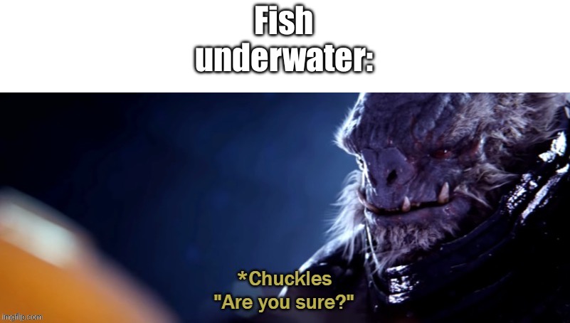 Are you sure | Fish underwater: | image tagged in are you sure | made w/ Imgflip meme maker