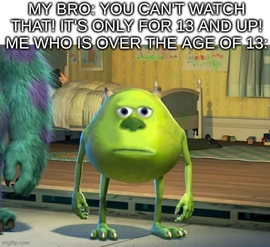 bro, I'm not nine anymore | MY BRO: YOU CAN'T WATCH THAT! IT'S ONLY FOR 13 AND UP!
ME WHO IS OVER THE AGE OF 13: | image tagged in mike wazowski bruh | made w/ Imgflip meme maker