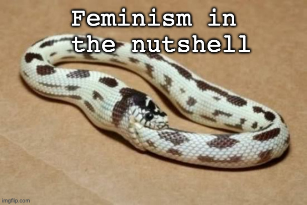 Snake Eating Itself | Feminism in
 the nutshell | image tagged in snake eating itself | made w/ Imgflip meme maker