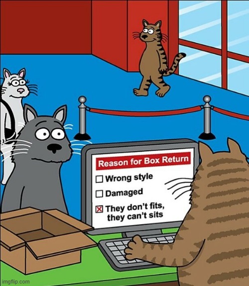 Cat Box | image tagged in comics | made w/ Imgflip meme maker