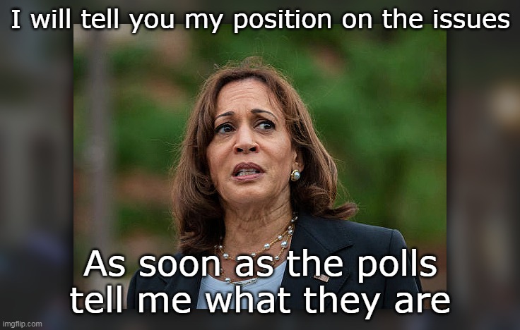 Leadership | I will tell you my position on the issues; As soon as the polls tell me what they are | image tagged in kamala issues meme | made w/ Imgflip meme maker