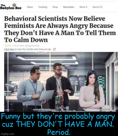 Leave it to Beaver...I mean, leave it to The Bee to get to the root of the problem. | Funny but they're probably angry 
cuz THEY DON'T HAVE A MAN. 
Period. | image tagged in feminists,triggered feminist,sjws,angry,men,political humor | made w/ Imgflip meme maker