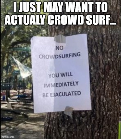 Word Choice Matters | I JUST MAY WANT TO ACTUALY CROWD SURF... | image tagged in you had one job | made w/ Imgflip meme maker