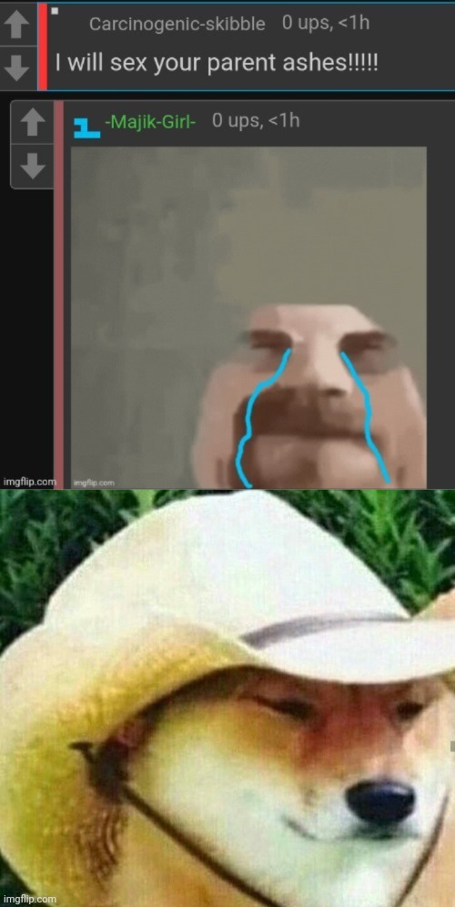 ㅤ | image tagged in what in tarnation | made w/ Imgflip meme maker