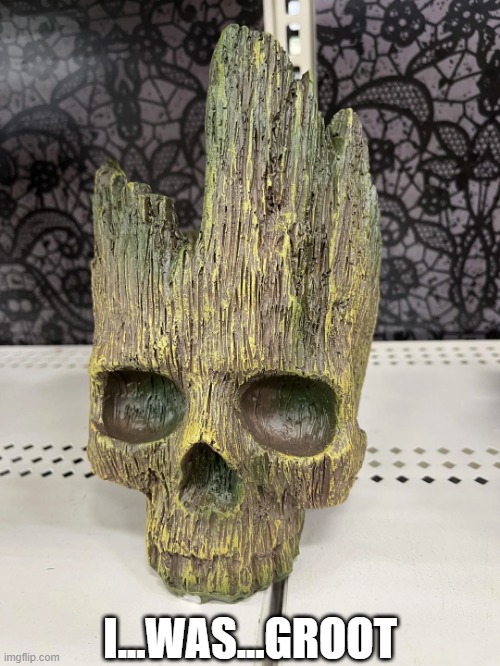 Oh No Not Groot | I...WAS...GROOT | image tagged in groot | made w/ Imgflip meme maker