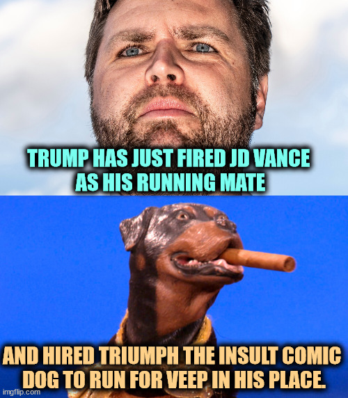 Or maybe Triumph as President and Trump as Vice President. We'll see. | TRUMP HAS JUST FIRED JD VANCE 
AS HIS RUNNING MATE; AND HIRED TRIUMPH THE INSULT COMIC 
DOG TO RUN FOR VEEP IN HIS PLACE. | image tagged in jd vance the weirdest of the weird,j d vance,vice president,trump,president,triumph the insult comic dog | made w/ Imgflip meme maker