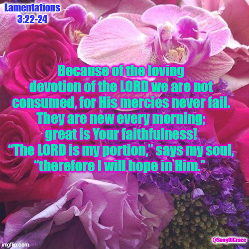 Lamentation 3:22-24 | Lamentations 3:22-24; Because of the loving devotion of the LORD we are not consumed, for His mercies never fail.
They are new every morning;
great is Your faithfulness!
“The LORD is my portion,” says my soul,
“therefore I will hope in Him.”; @SongOfGrace | image tagged in flowers,biblical encouragement | made w/ Imgflip meme maker