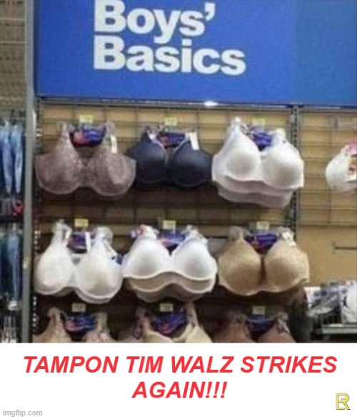 Tampon Tim Strikes Again!!! | image tagged in democrats | made w/ Imgflip meme maker