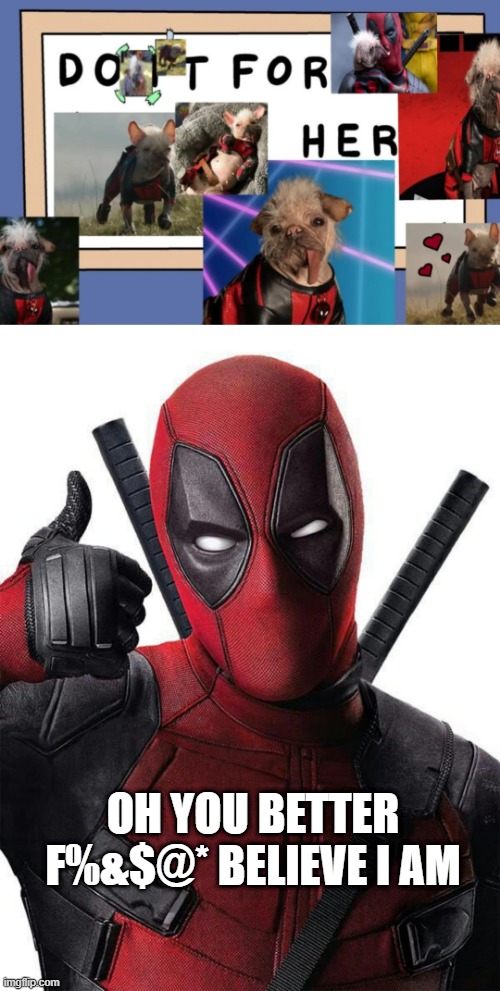 Dot It for Dogpool | OH YOU BETTER F%&$@* BELIEVE I AM | image tagged in deadpool thumbs up | made w/ Imgflip meme maker