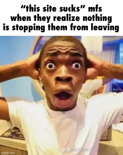 Shocked black guy | “this site sucks” mfs when they realize nothing is stopping them from leaving | image tagged in shocked black guy | made w/ Imgflip meme maker