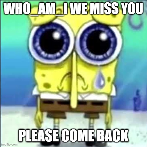 i might have made this before but i dont know | WHO_AM_I WE MISS YOU PLEASE COME BACK | image tagged in sad spongebob,memes | made w/ Imgflip meme maker