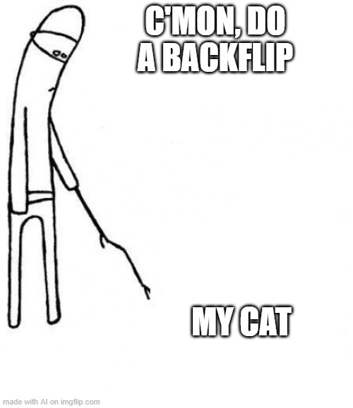 c'mon do something | C'MON, DO A BACKFLIP; MY CAT | image tagged in c'mon do something | made w/ Imgflip meme maker