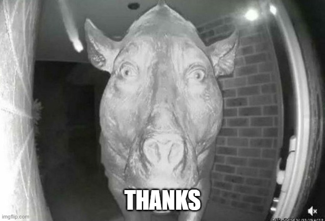 scary pig thing | THANKS | image tagged in scary pig thing | made w/ Imgflip meme maker