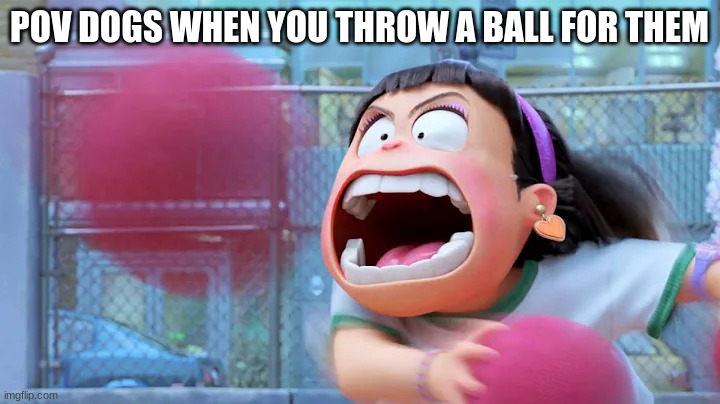 pov dogs | POV DOGS WHEN YOU THROW A BALL FOR THEM | image tagged in memes,funny,dogs | made w/ Imgflip meme maker