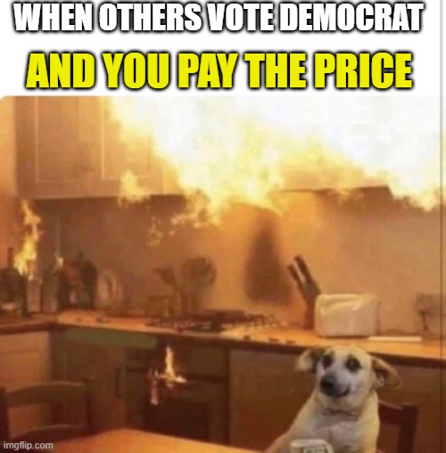 Dog fire | WHEN OTHERS VOTE DEMOCRAT; AND YOU PAY THE PRICE | image tagged in dog kitchen fire,democrat | made w/ Imgflip meme maker