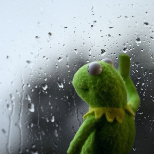 High Quality kermit looking out rainy window Blank Meme Template