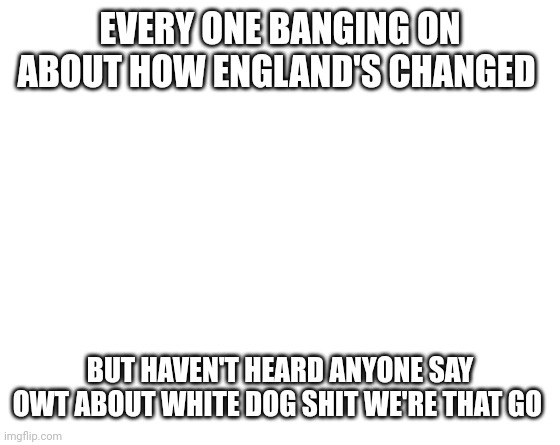 Make your own meme | EVERY ONE BANGING ON ABOUT HOW ENGLAND'S CHANGED; BUT HAVEN'T HEARD ANYONE SAY OWT ABOUT WHITE DOG SHIT WE'RE THAT GO | image tagged in make your own meme | made w/ Imgflip meme maker