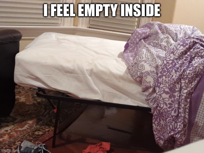 Bruh | I FEEL EMPTY INSIDE | image tagged in bruh | made w/ Imgflip meme maker