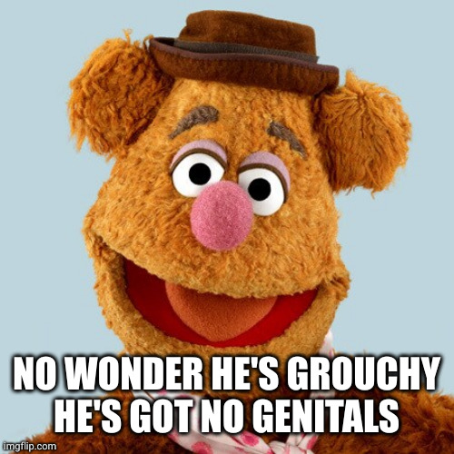 froze bear | NO WONDER HE'S GROUCHY
HE'S GOT NO GENITALS | image tagged in froze bear | made w/ Imgflip meme maker