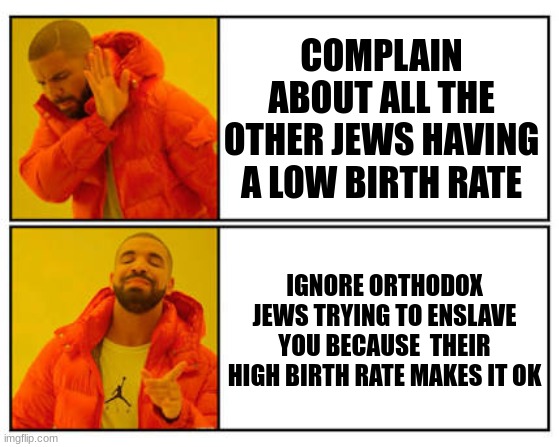 Not that, but this | COMPLAIN ABOUT ALL THE OTHER JEWS HAVING A LOW BIRTH RATE; IGNORE ORTHODOX JEWS TRYING TO ENSLAVE YOU BECAUSE  THEIR HIGH BIRTH RATE MAKES IT OK | image tagged in not that but this | made w/ Imgflip meme maker