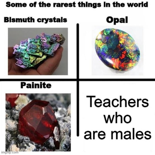 Why are so many teachers females? | Teachers who are males | image tagged in some of the rarest things in the world,teachers,school,school meme,schools,teacher | made w/ Imgflip meme maker