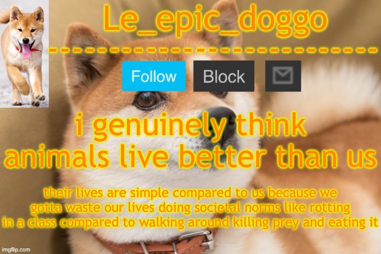 i would live as an animal than a human | i genuinely think animals live better than us; their lives are simple compared to us because we gotta waste our lives doing societal norms like rotting in a class compared to walking around killing prey and eating it | image tagged in epic doggo's temp back in old fashion | made w/ Imgflip meme maker