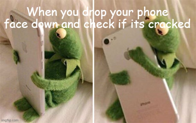 The fear of it being cracked is unbearble | When you drop your phone face down and check if its cracked | image tagged in kermit hugging phone | made w/ Imgflip meme maker