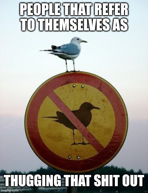 Seagull on top of "no seagull" sign | PEOPLE THAT REFER
TO THEMSELVES AS THUGGING THAT SHIT OUT | image tagged in seagull on top of no seagull sign | made w/ Imgflip meme maker