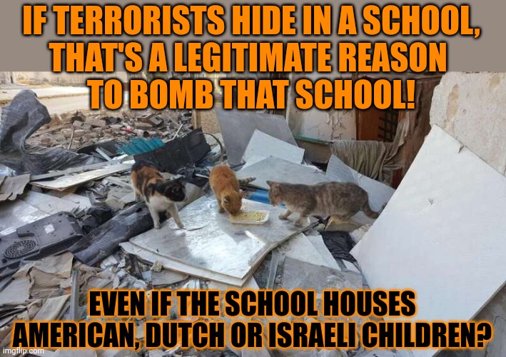 This #lolcat wonders if terrorists always should be eliminated at all costs | IF TERRORISTS HIDE IN A SCHOOL,
THAT'S A LEGITIMATE REASON 
TO BOMB THAT SCHOOL! EVEN IF THE SCHOOL HOUSES AMERICAN, DUTCH OR ISRAELI CHILDREN? | image tagged in terrorism,collateral damage,israel,palestine,arabic,lolcat | made w/ Imgflip meme maker