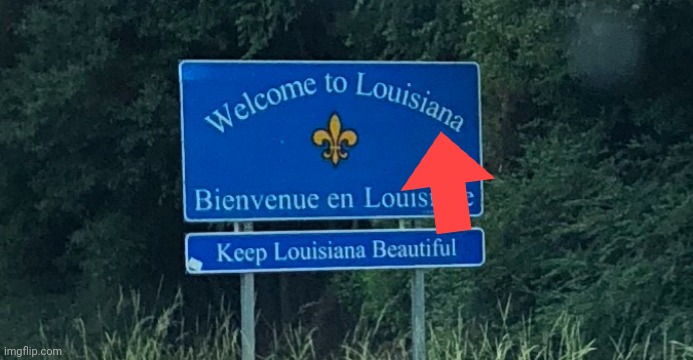 Louisiana | image tagged in louisiana | made w/ Imgflip meme maker