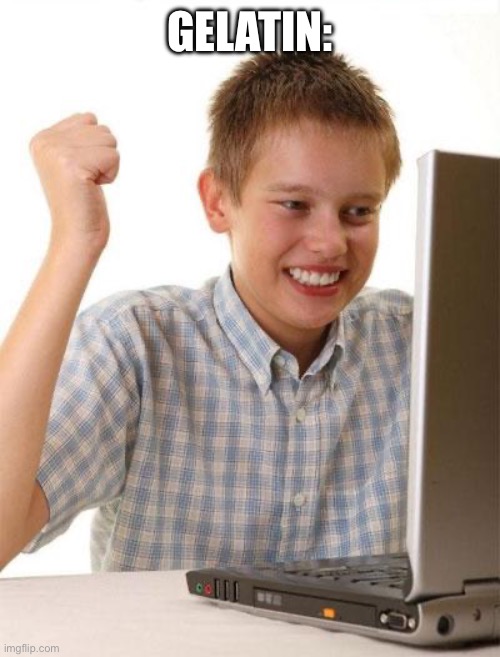 First Day On The Internet Kid | GELATIN: | image tagged in memes,first day on the internet kid | made w/ Imgflip meme maker