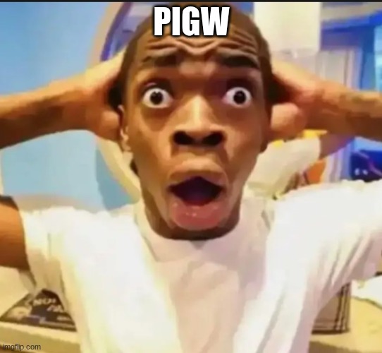 Surprised Black Guy | PIGW | image tagged in surprised black guy | made w/ Imgflip meme maker