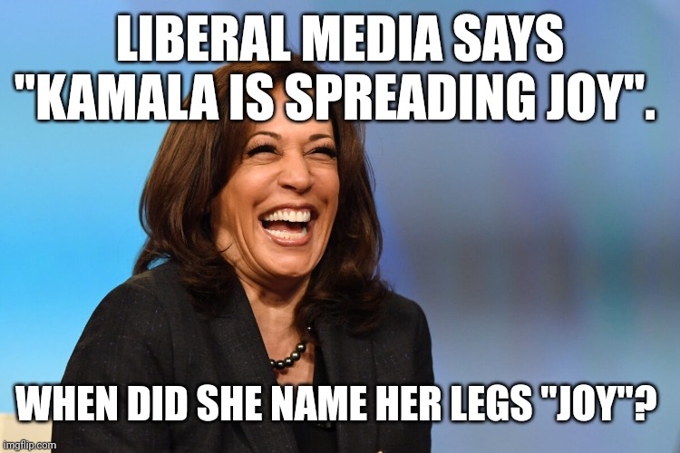 Kamala Harris laughing | LIBERAL MEDIA SAYS "KAMALA IS SPREADING JOY". WHEN DID SHE NAME HER LEGS "JOY"? | image tagged in kamala harris laughing | made w/ Imgflip meme maker