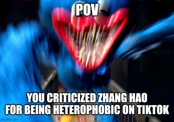 POV | POV; YOU CRITICIZED ZHANG HAO FOR BEING HETEROPHOBIC ON TIKTOK | image tagged in boeh what the hea boeh | made w/ Imgflip meme maker