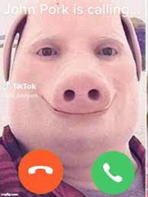 John Pork is calling... | image tagged in john pork is calling | made w/ Imgflip meme maker