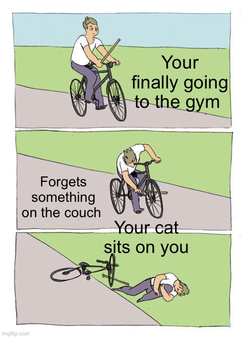 Bike Fall Meme | Your finally going to the gym; Forgets something on the couch; Your cat sits on you | image tagged in memes,bike fall | made w/ Imgflip meme maker