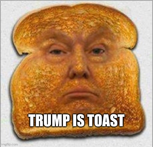 Trump is Toast | TRUMP IS TOAST | image tagged in trump is toast,trump is a traitor,trump,toast,traitor | made w/ Imgflip meme maker