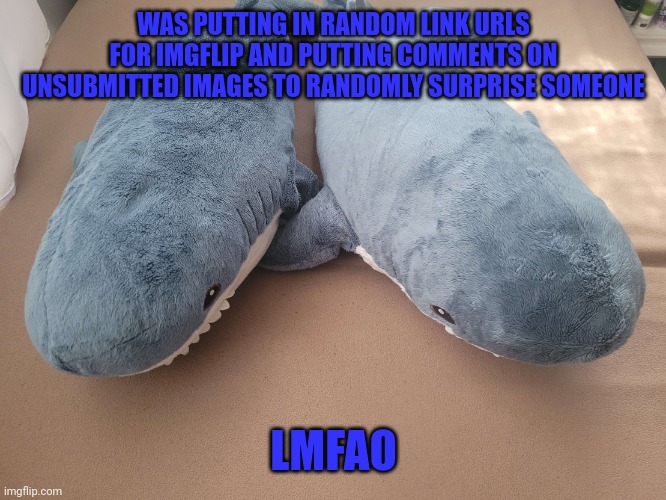 It's funneh | WAS PUTTING IN RANDOM LINK URLS FOR IMGFLIP AND PUTTING COMMENTS ON UNSUBMITTED IMAGES TO RANDOMLY SURPRISE SOMEONE; LMFAO | image tagged in my brother's and my blahaj | made w/ Imgflip meme maker