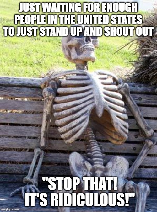 Waiting Skeleton | JUST WAITING FOR ENOUGH PEOPLE IN THE UNITED STATES TO JUST STAND UP AND SHOUT OUT; "STOP THAT!  IT'S RIDICULOUS!" | image tagged in memes,waiting skeleton | made w/ Imgflip meme maker