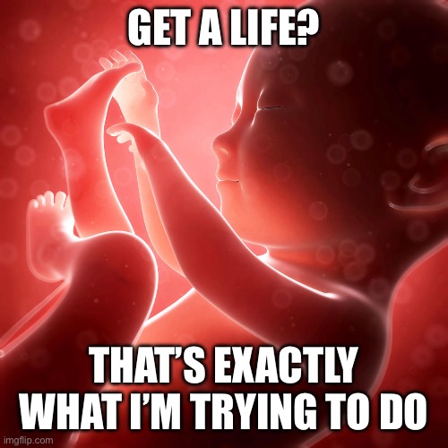 Baby Fetus | GET A LIFE? THAT’S EXACTLY WHAT I’M TRYING TO DO | image tagged in baby fetus | made w/ Imgflip meme maker