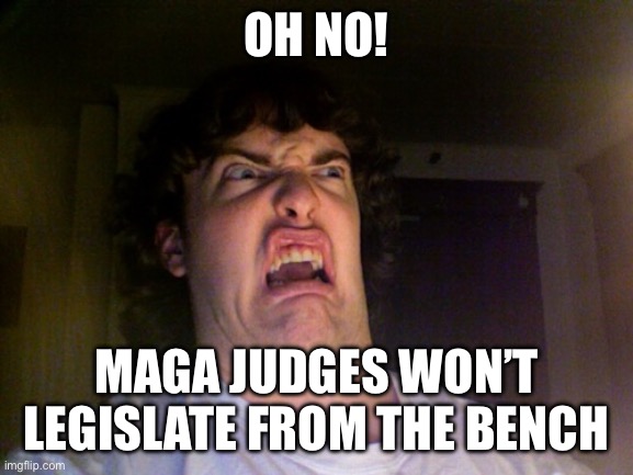 Oh No Meme | OH NO! MAGA JUDGES WON’T LEGISLATE FROM THE BENCH | image tagged in memes,oh no | made w/ Imgflip meme maker