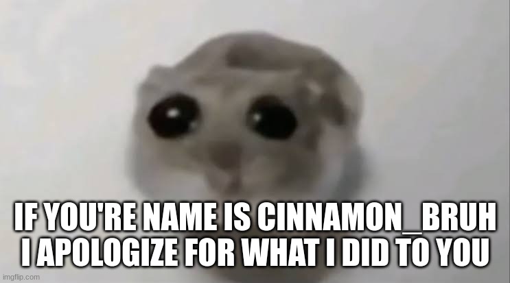 hopefully its the right username | IF YOU'RE NAME IS CINNAMON_BRUH I APOLOGIZE FOR WHAT I DID TO YOU | image tagged in sad hamster | made w/ Imgflip meme maker