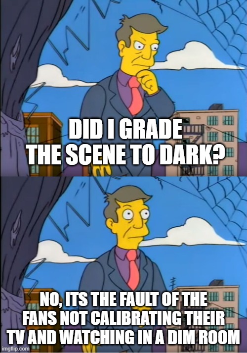 Skinner Out Of Touch | DID I GRADE THE SCENE TO DARK? NO, ITS THE FAULT OF THE FANS NOT CALIBRATING THEIR TV AND WATCHING IN A DIM ROOM | image tagged in skinner out of touch | made w/ Imgflip meme maker