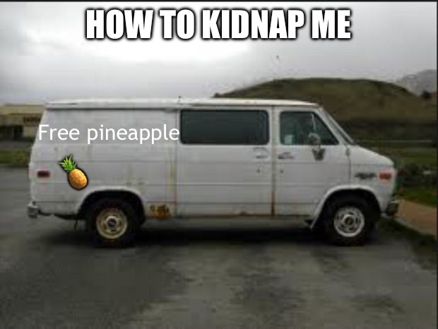 How to kidnap me trend | HOW TO KIDNAP ME; Free pineapple; 🍍 | image tagged in creepy van | made w/ Imgflip meme maker